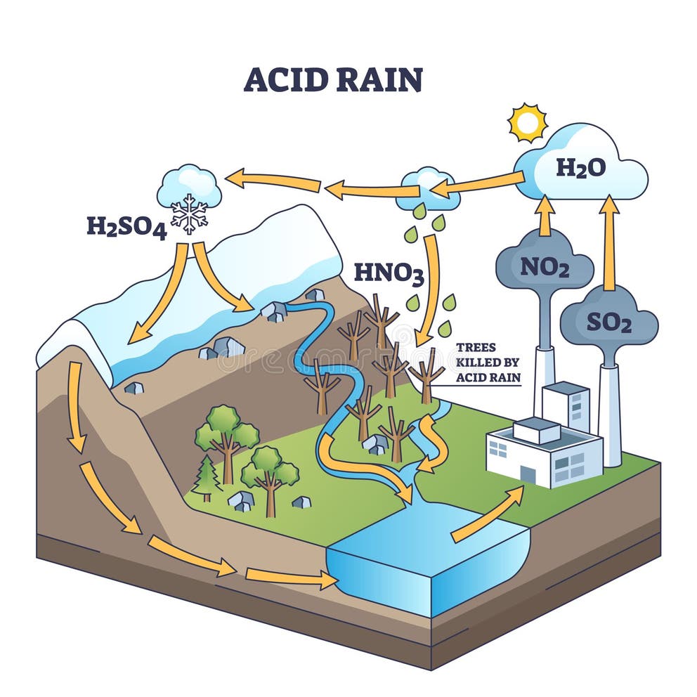 Acid Rain Diagram Stock Illustrations 23 Acid Rain Diagram Stock
