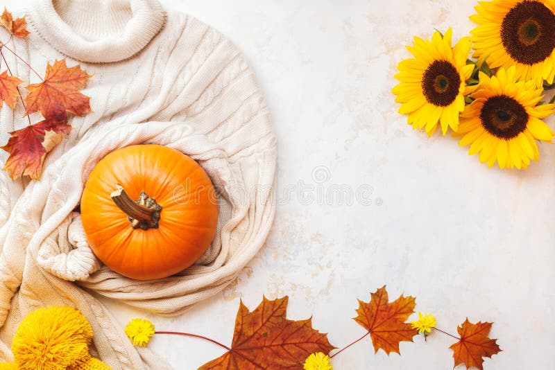 Acogedor otoño, concepto de estilo de vida con calabaza, suéter y girasoles dorados fotos de archivo Acogedor otoño, concepto de estilo de vida con calabaza, suéter y girasoles dorados fotos de archivo
