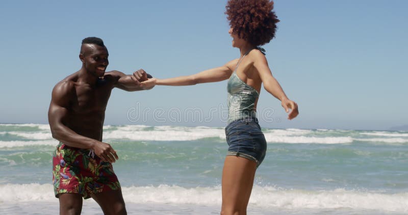 Acople a dança junto na praia na luz do sol 4k