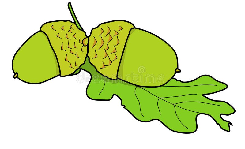 Acorn Stock Illustrations – 22,252 Acorn Stock Illustrations, Vectors