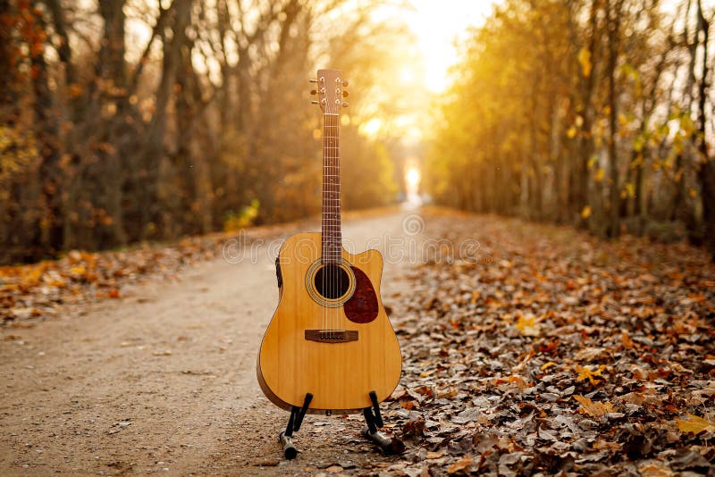 Music Guitar In Autumn Leaves Forest Background Stock Image Image of
