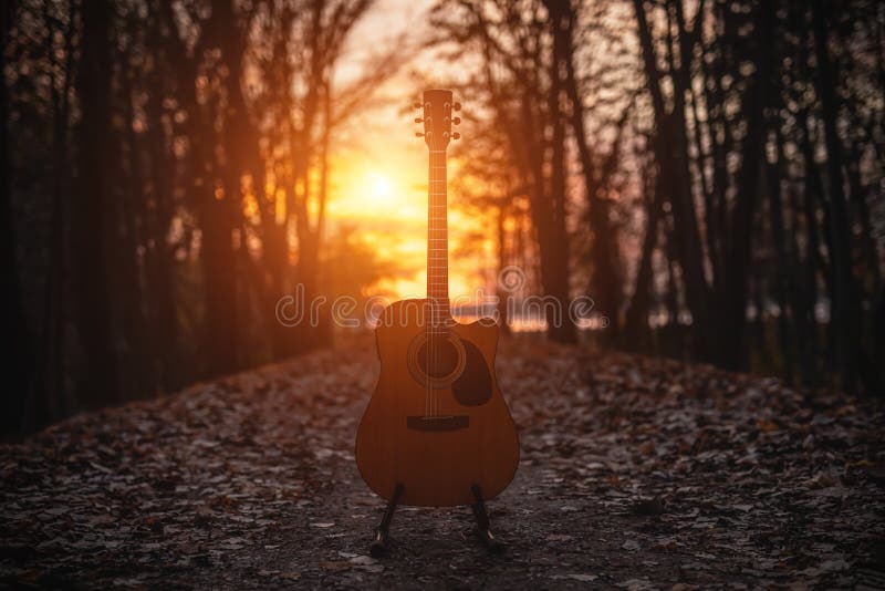 Acoustic Guitar in the Dark Autumn Forest Stock Photo Image of