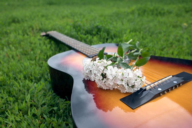 Acoustic Guitar Wood Images, HD Pictures For Free Vectors Download - Lovepik.com