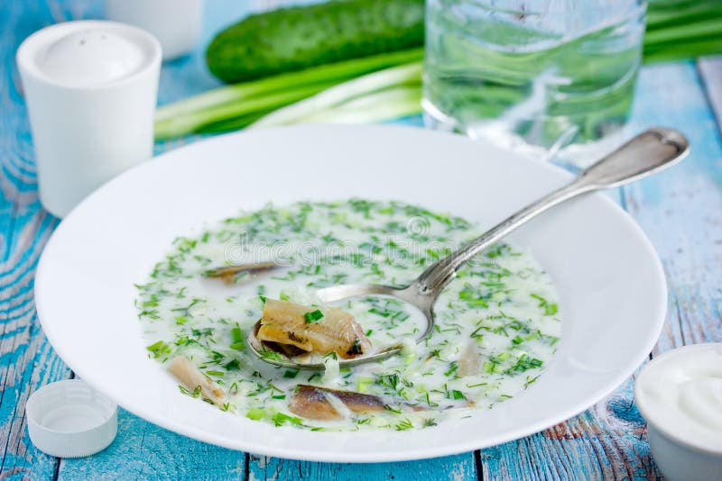 Acqua di rinfresco fredda di okroshka della minestra, kefir, cetriolo fresco, aneto, cipolla, aglio e pesce affumicato fotografie stock libere da diritti Acqua di rinfresco fredda di okroshka della minestra, kefir, cetriolo fresco, aneto, cipolla, aglio e pesce affumicato fotografie stock libere da diritti