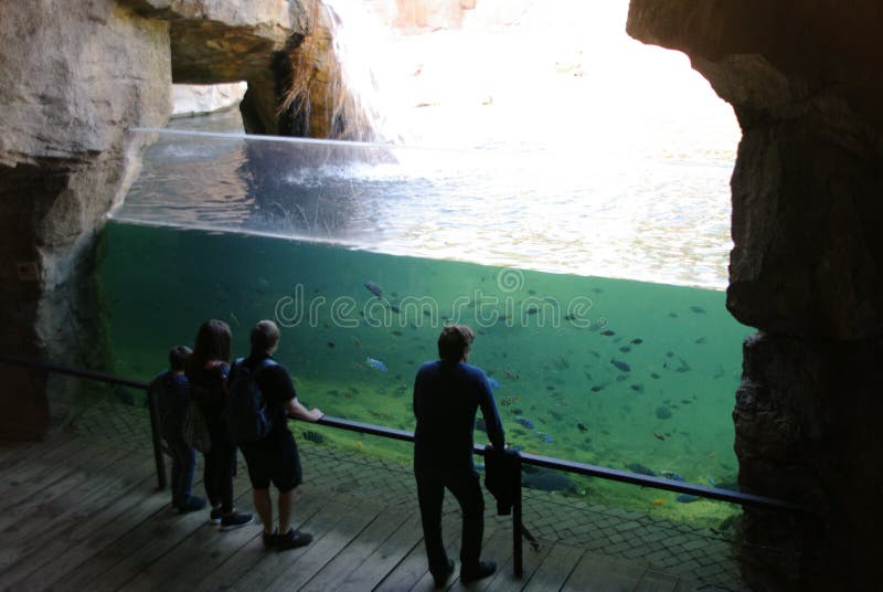 acquario dei passi immagine stock libera da diritti acquario dei passi immagine stock libera da diritti