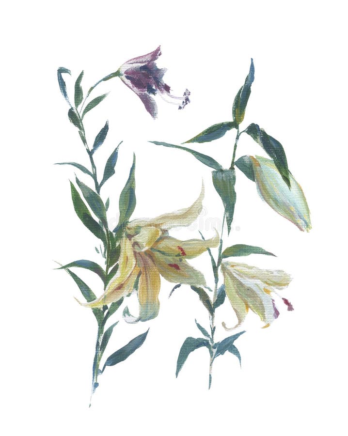 Acquerello, pittura a olio delle foglie e fiore, su bianco royalty illustrazione gratis Acquerello, pittura a olio delle foglie e fiore, su bianco royalty illustrazione gratis