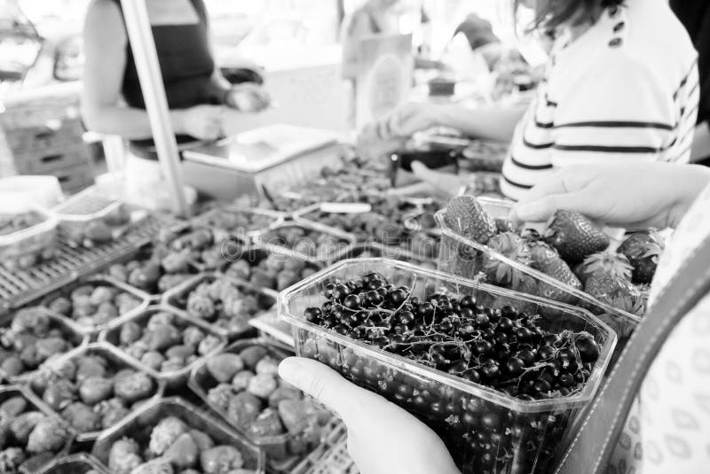 Acquisto della donna per il ribes fresco e le fragole in bianco e nero immagini stock