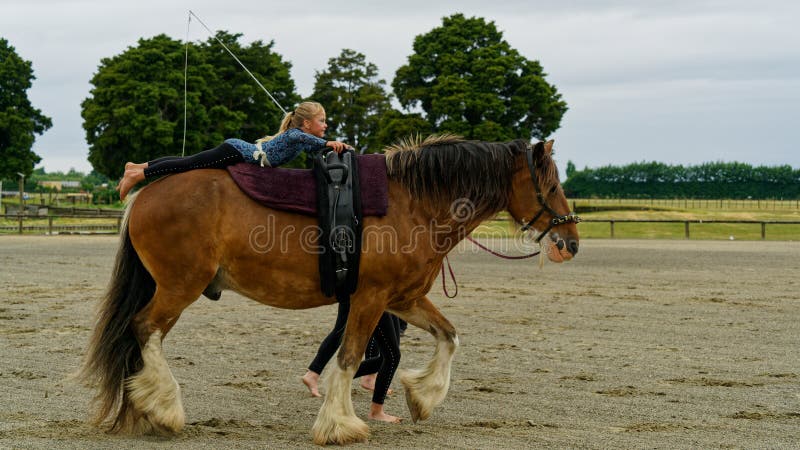 Marchwood Park, Motueka, Tasman District, Aotearoa New Zealand – December 2, 2023: Acrobat balancing on a horse at the Motueka A and P show. Non-ticket community organised event, no press credentials needed. Marchwood Park, Motueka, Tasman District, Aotearoa New Zealand – December 2, 2023: Acrobat balancing on a horse at the Motueka A and P show. Non-ticket community organised event, no press credentials needed