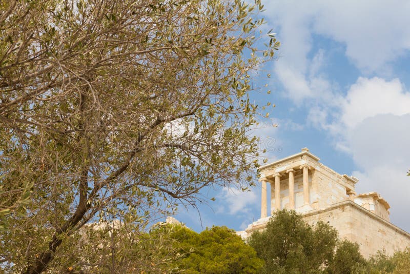 Temple and Olive Tree at the Acropolis of Athens, Greece Stock Image