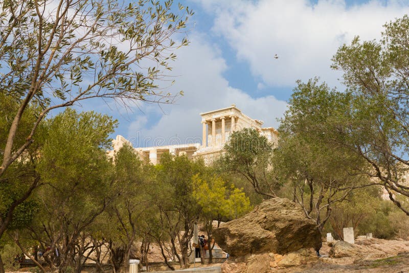 147 Temple Olive Tree Acropolis Athens Greece Stock Photos Free