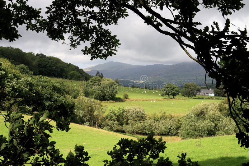 Across the fields to Snowdonia stock images Across the fields to Snowdonia stock images