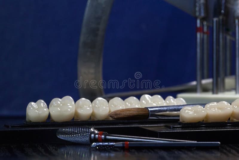 Acrylic Teeth and Dental Instruments. Chewing Teeth Group Stock Photo