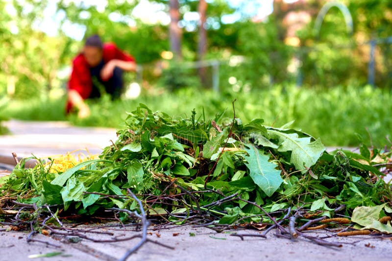 Cleaning the Yard Near the House and a Lot of Garbage from this Stock