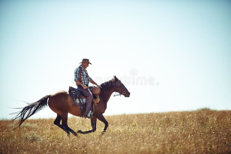 Galloping with Freedom. Action Shot of a Man Riding a Horse in a Field ...