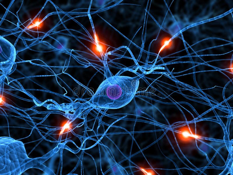 Active nerve cell royalty free illustration Active nerve cell royalty free illustration