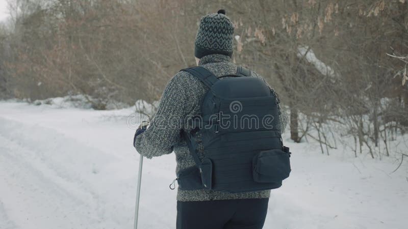 Activo una mujer mayor contratada a caminar nórdico con los palillos en el concepto sano de la forma de vida del bosque del invie