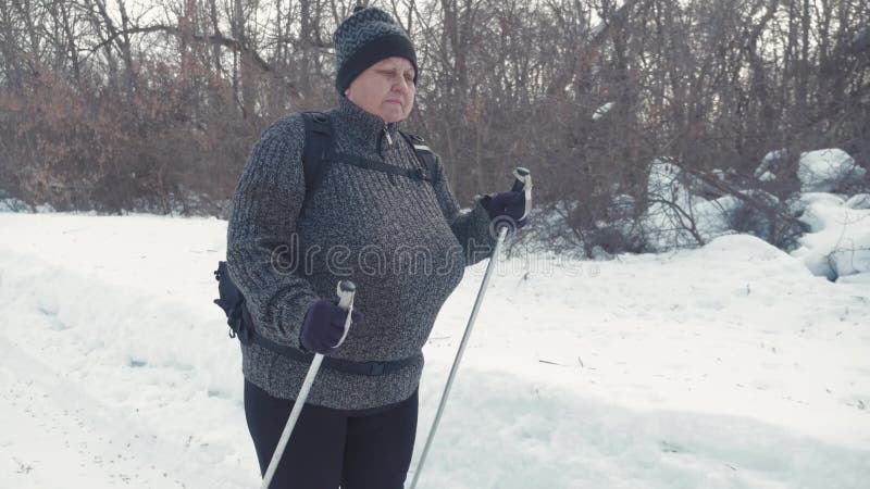 Activo una mujer mayor contratada a caminar nórdico con los palillos en el concepto sano de la forma de vida del bosque del invie