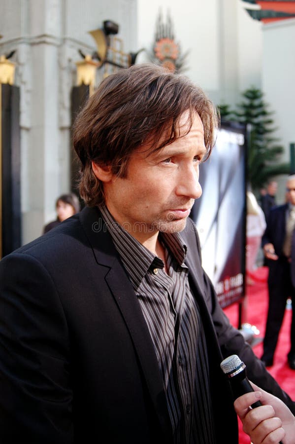 Actor David Duchovny stock photography
