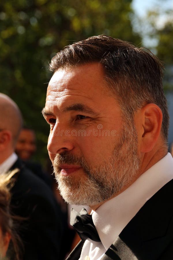 Actor y cómico David Walliams del escritor fotografía de archivo Actor y cómico David Walliams del escritor fotografía de archivo
