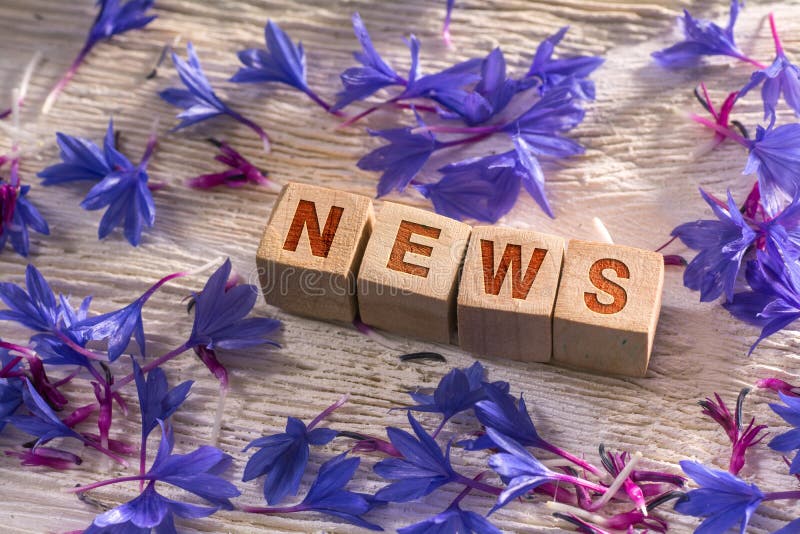 News written on the wooden cubes with blue flowers on white wood. News written on the wooden cubes with blue flowers on white wood.