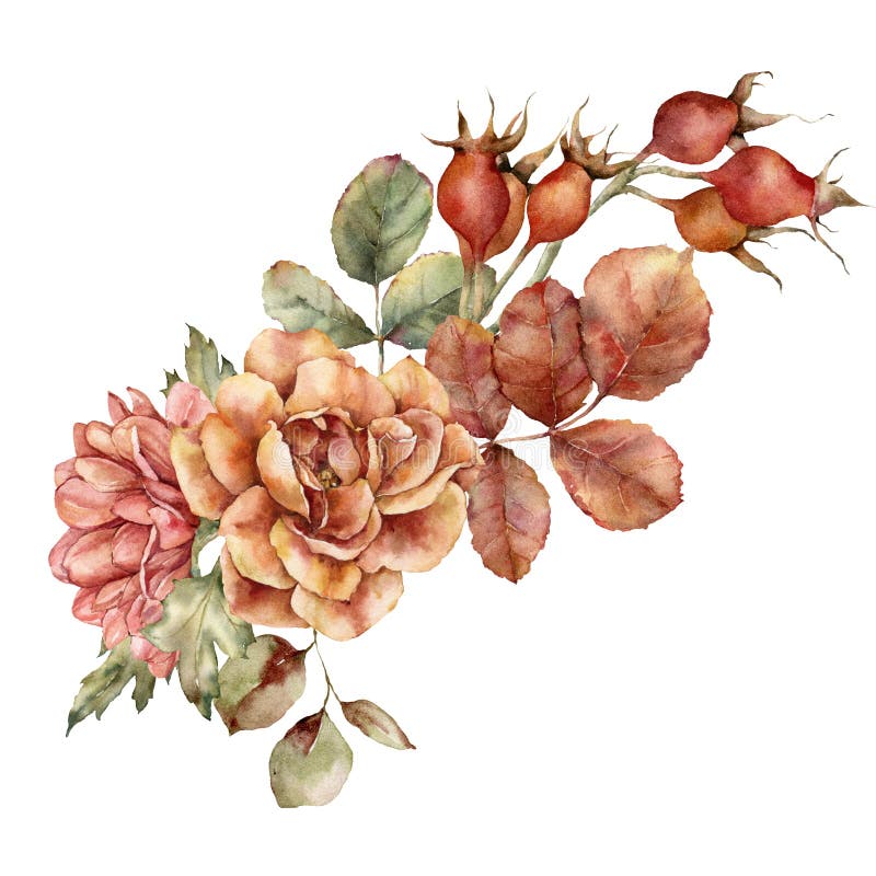Acuarela De Otoño Ramo De Hojas Dahlia Rosa Y Rosas De Perro. Flores De Pradera Pintadas a Mano Aisladas En Blanco Stock de ilustración - Ilustración de cartel, hojas: 228594230 Acuarela De Otoño Ramo De Hojas Dahlia Rosa Y Rosas De Perro. Flores De Pradera Pintadas a Mano Aisladas En Blanco Stock de ilustración - Ilustración de cartel, hojas: 228594230