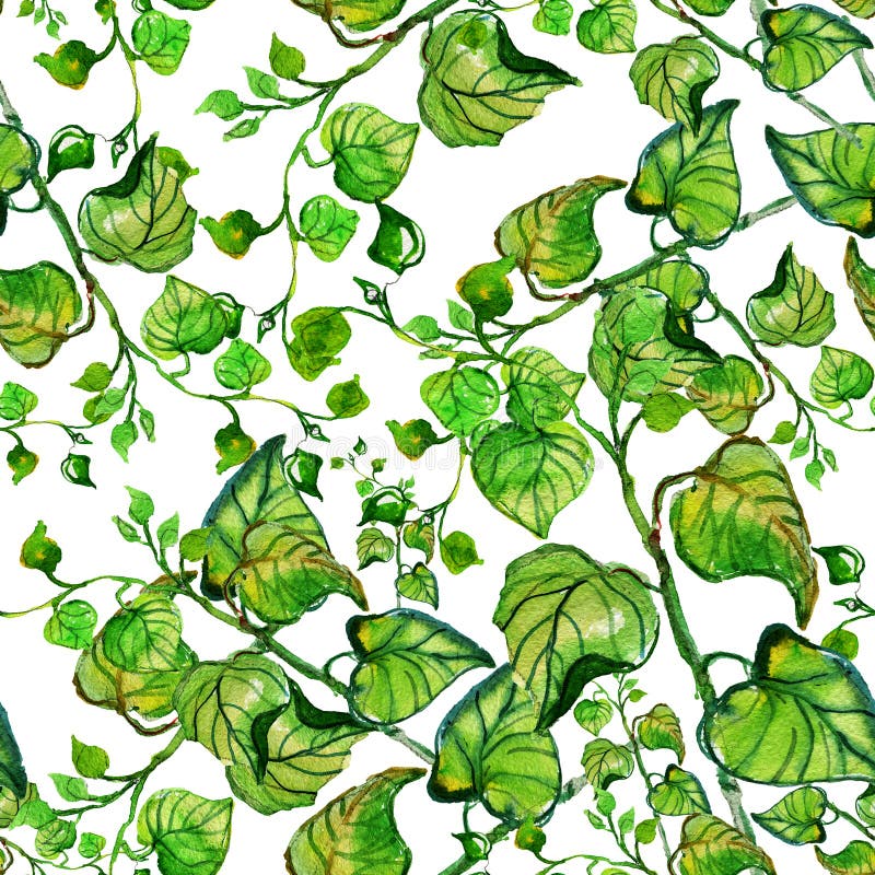 Acuarela inconsútil con las ramas y las hojas ilustración del vector Acuarela inconsútil con las ramas y las hojas ilustración del vector