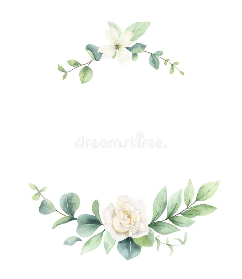 Correa Vectorial De Color Agua De Ramas Verdes Y Flores. Ilustración del Vector - Ilustración de eucalipto, marco: 217861785 Correa Vectorial De Color Agua De Ramas Verdes Y Flores. Ilustración del Vector - Ilustración de eucalipto, marco: 217861785