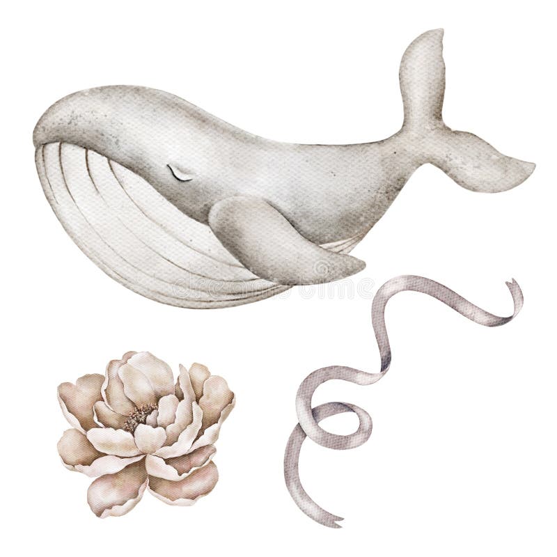 Acuarelă clip ilustrare a unei balene albe zâmbitoare cu roz delicat royalty free illustration