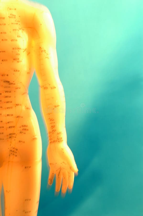 Acupuncture Model Background Stock Photo Image of body, acupressure