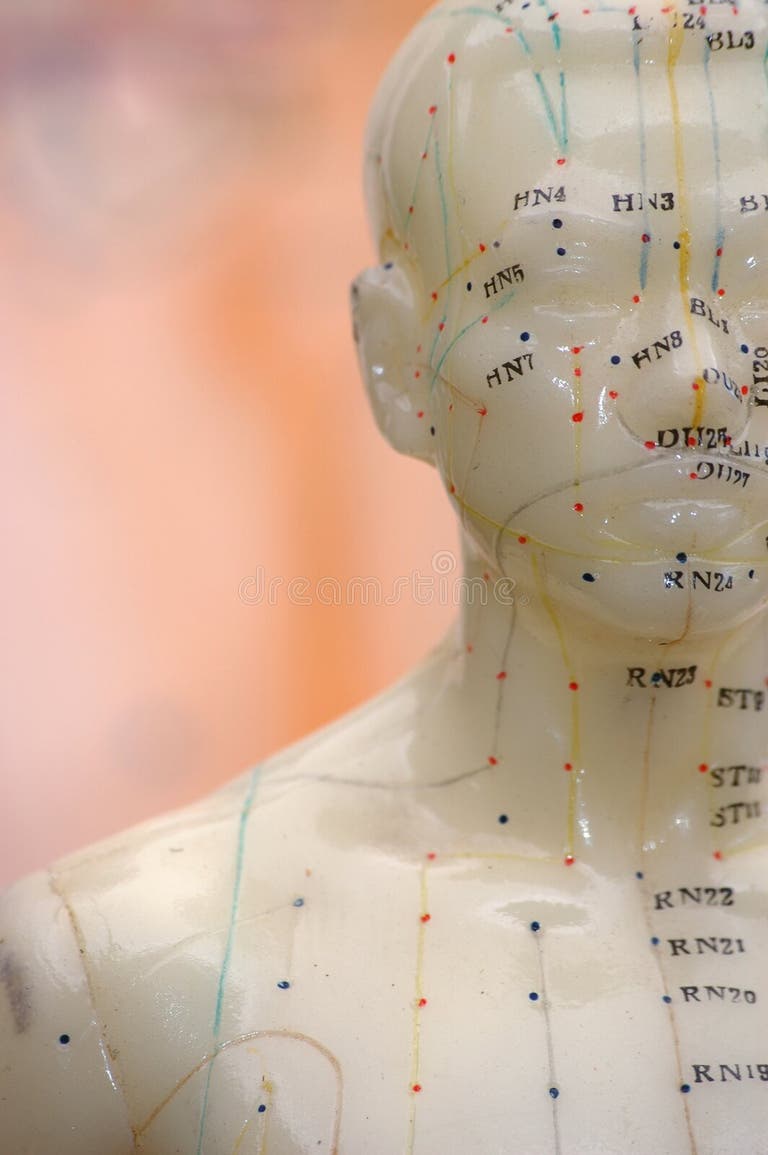 10,273 Acupuncture Stock Photos Free & RoyaltyFree Stock Photos from