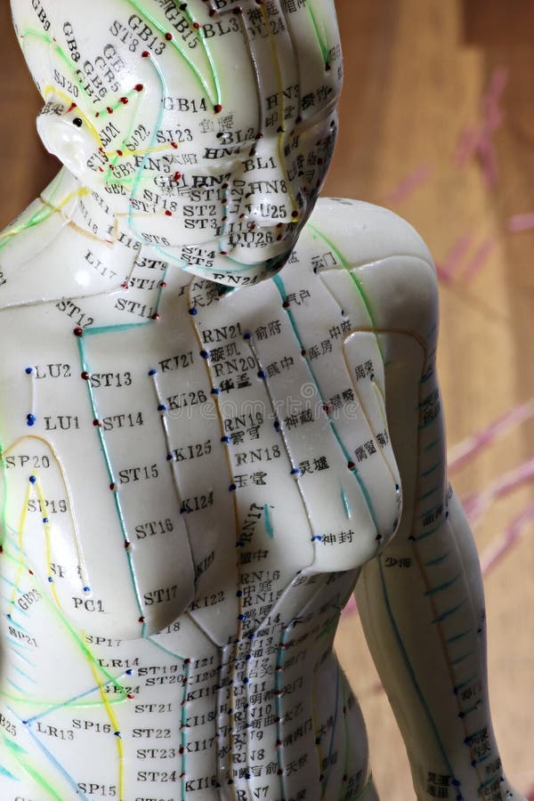 Acupuncture model stock image. Image of practice, learn 91875857