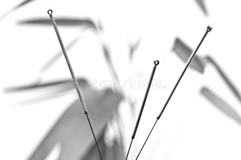 Acupuncture Needles and Moxa Cones Stock Image Image of care, nature 31855575