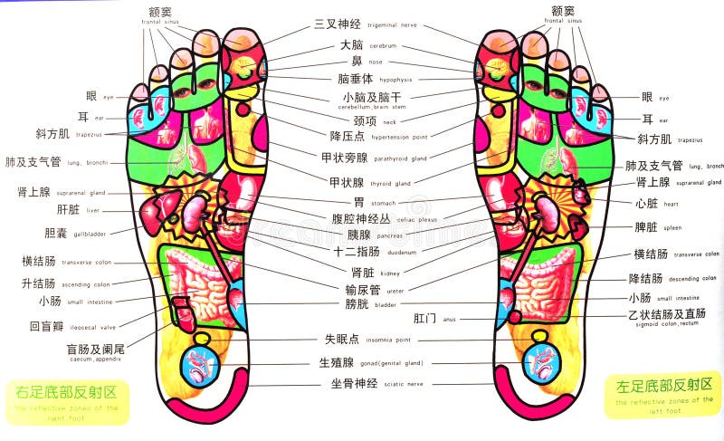 Acupuncture point