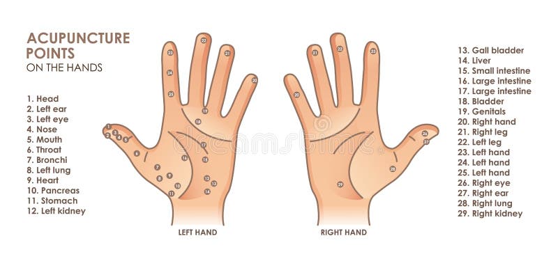 Acupuncture Chart Stock Illustrations 79 Acupuncture Chart Stock Illustrations Vectors Clipart Dreamstime