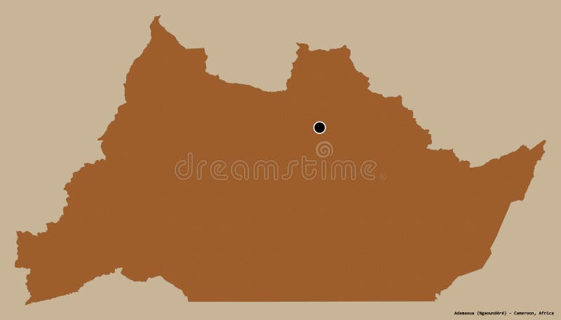Adamaoua, region of Cameroon, on solid. Pattern. Shape of Adamaoua, region of Cameroon, with its capital isolated on a solid color background. Composition of patterned textures. 3D rendering