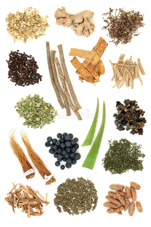 Adaptogen Herb Spice and Berry Fruit Selection