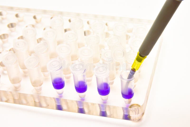 Biological Sample Preparation Stock Image Image of research