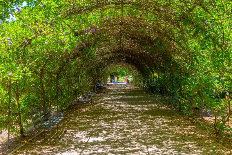 Adelaide Botanic Garden Bicentennial Conservatory Building and Cascade