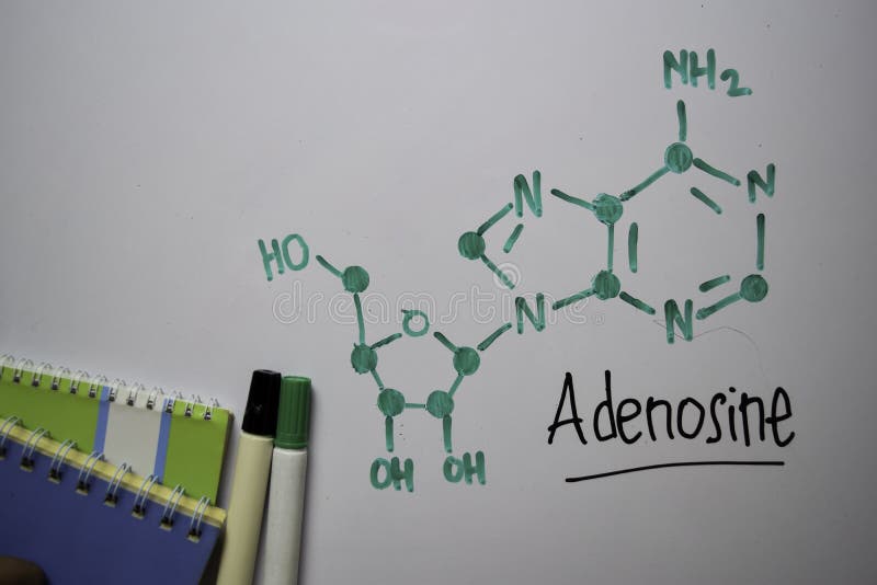 Adenosine molecule write on the white board. Structural chemical formula. Education concept