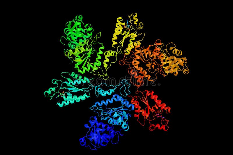 Adenylyl-sulfate kinase, an enzyme which participates in 3 metabolic pathways: purine metabolism, selenoamino acid metabolism, and sulfur metabolism. 3d rendering.