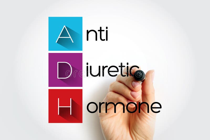 Adh antidiurétique hormone non apeptide synthétisée dans le concept de texte de l'acronyme d'hypothalamus fond