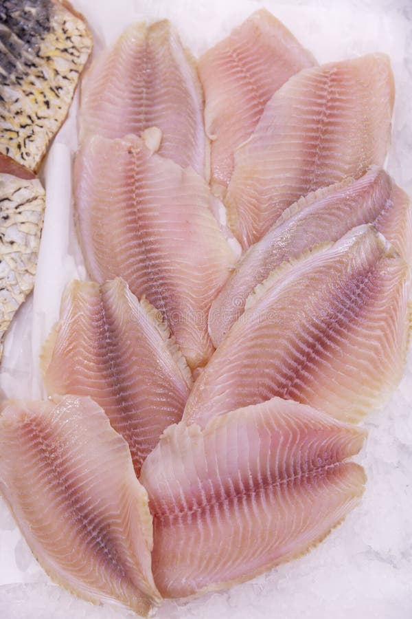 A admirablement présenté le filet de poissons effrayant sur la glace dans un supermarché Plan rapproch? image libre de droits A admirablement présenté le filet de poissons effrayant sur la glace dans un supermarché Plan rapproch? image libre de droits