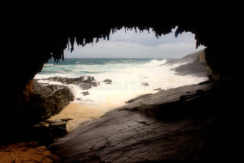 Arco sul Sud canguro isola dove foche venire sul Riposo giorni sul il mare.