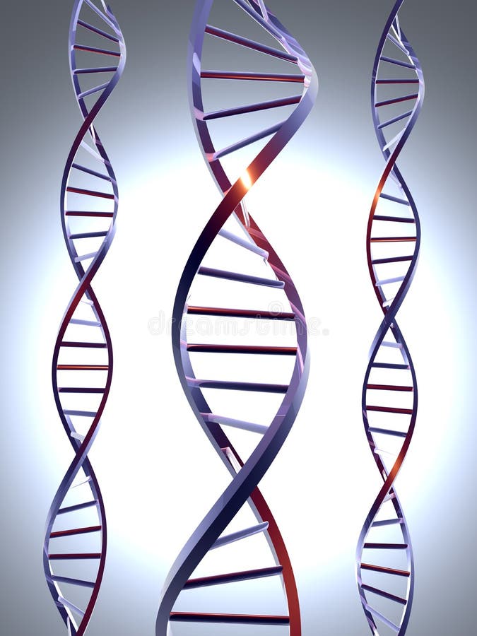 ADN 1