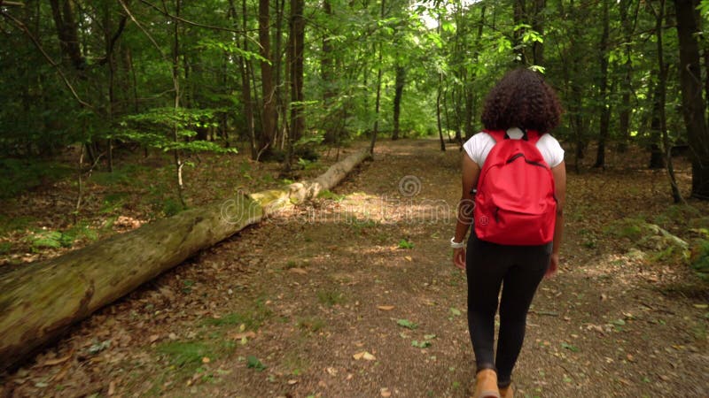 Adolescent mixte race africaine américaine fille jeune femme randonnée et portant une montre intelligente dans forêt boisé banque de vidéos