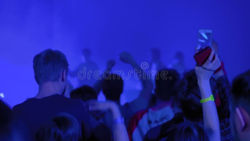 Adolescents faisant la fête au concert de rock devant la vue arrière d'étape banque de vidéos