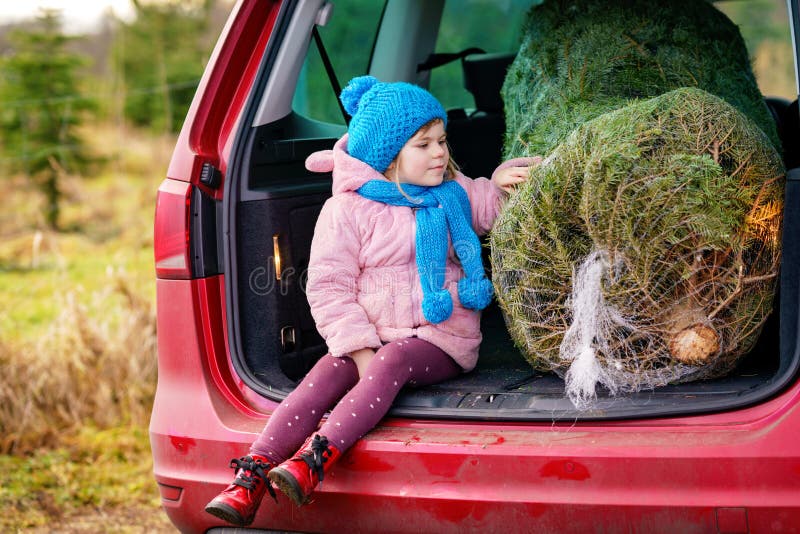 Adorável Menina Pré-escolar Com árvore De Natal Dentro Do Carro Da Família. Criança Feliz E Saudável Com Roupas De Moda De Inverno Foto de Stock - Imagem de vender, bagagem: 261309788 Adorável Menina Pré-escolar Com árvore De Natal Dentro Do Carro Da Família. Criança Feliz E Saudável Com Roupas De Moda De Inverno Foto de Stock - Imagem de vender, bagagem: 261309788