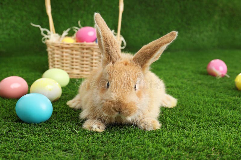 Adorabil iepuraș de Paști cu blană lângă coșul cu răchită și ouă vopsite royalty free stock photos