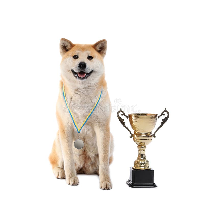 Adorable Akita Inu Dog With Champion Trophy And Medal On Background Stock Photo Image Of Animal Pedigree 158871382 Trophy features we do realdiamond cutter engraving. adorable akita inu dog with champion