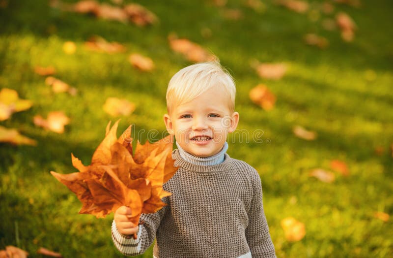 Adorable autumn kids with leaves in the beauty park. Autumn child portrait, autumnal mood. stock photo